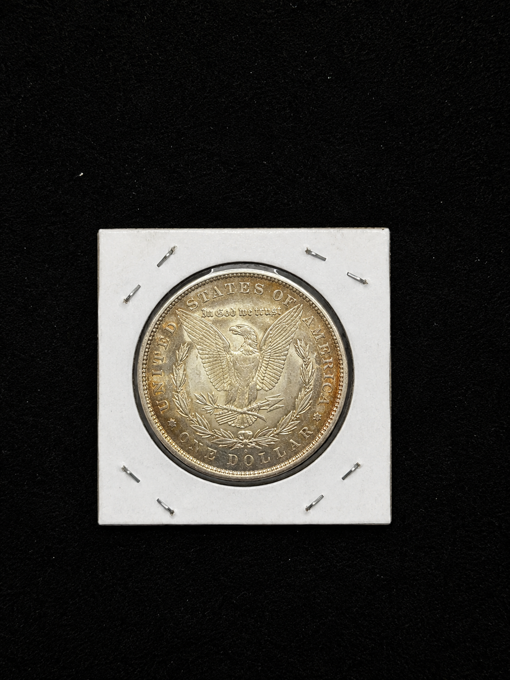 1898 Morgan Toned