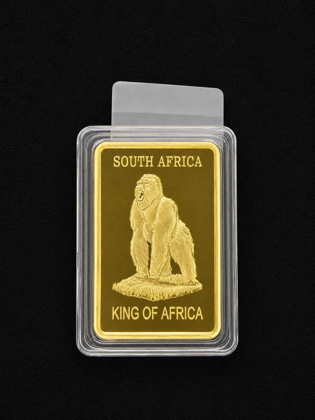 Gold Clad Bar South Africa