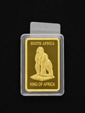 Gold Clad Bar South Africa
